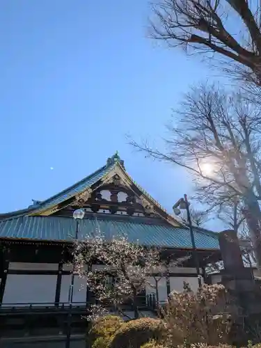 妙法寺(東京都)