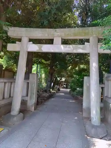 渋谷氷川神社の鳥居