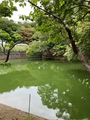 安房神社(千葉県)