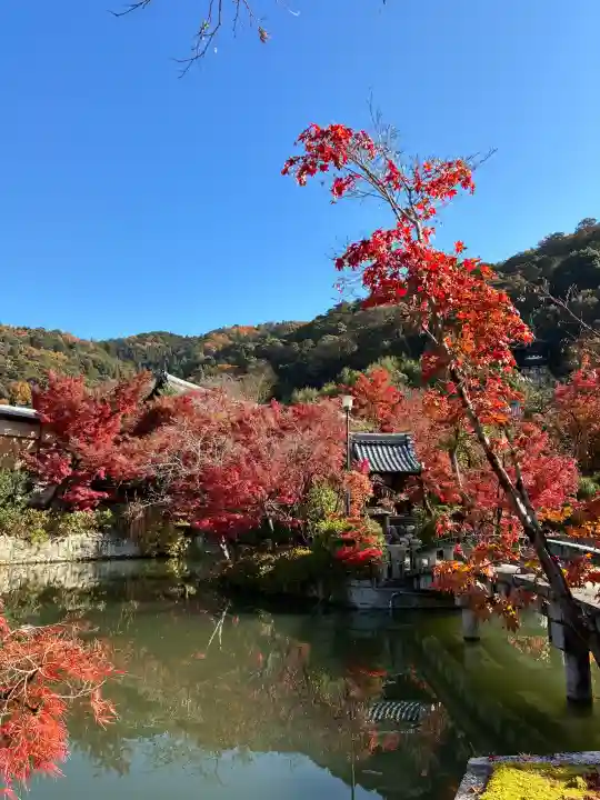 禅林寺(永観堂)の{uncategorized: "未分類", other: "その他", undefined: "問題あり", building: "その他建物", grave: "お墓", sacred_gate: "鳥居", guardian: "狛犬", statue: "像", buddha: "仏像", history: "歴史", nature: "自然", garden: "庭園", animal: "動物", pagoda: "塔", temizu: "手水舎", mountain_gate: "山門・神門", sanctuary: "本殿・本堂", subordinate: "末社・摂社", art: "芸術", scenery: "景色", jizo: "地蔵", ema: "絵馬", goshuin: "御朱印", omikuji: "おみくじ", items: "授与品その他", amulet: "お守り", goshuincho: "御朱印帳", eats: "食事", festival: "お祭り", votive_dance: "神楽", shichigosan: "七五三参", wedding: "結婚式", experience: "体験その他", initially: "初詣", around: "周辺", anti_infection: "感染症対策"}