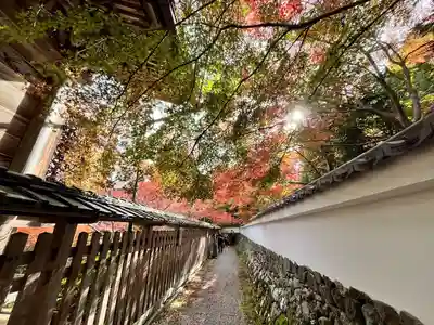 鍬山神社(京都府)