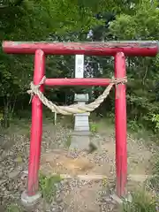 賀茂別雷神社(栃木県)