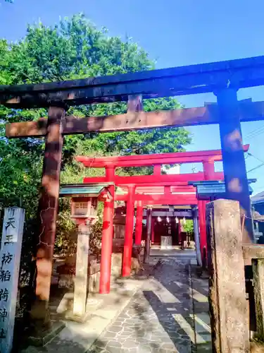 溝旗神社（肇國神社）(岐阜県)