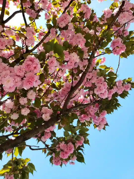 久富稲荷神社(東京都)