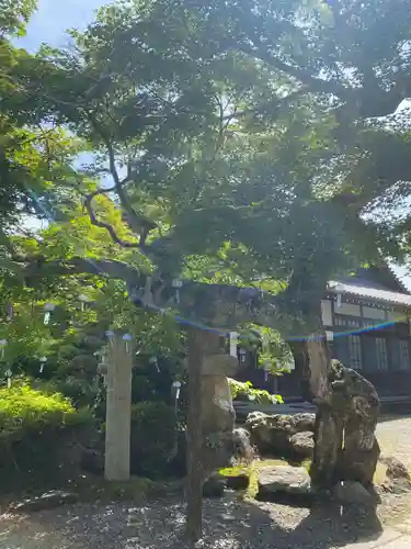 秋葉總本殿可睡斎(静岡県)