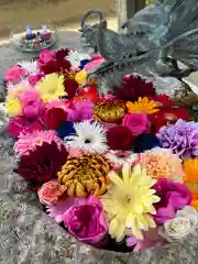 彌都加伎神社の手水