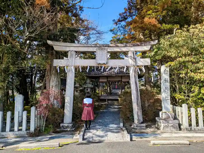 白鬚神社の鳥居