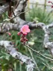 梅香寺の自然