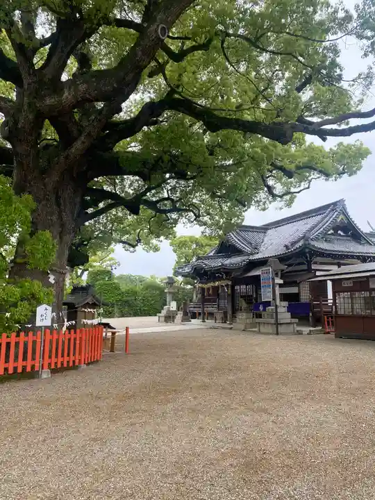 百舌鳥八幡宮(大阪府)