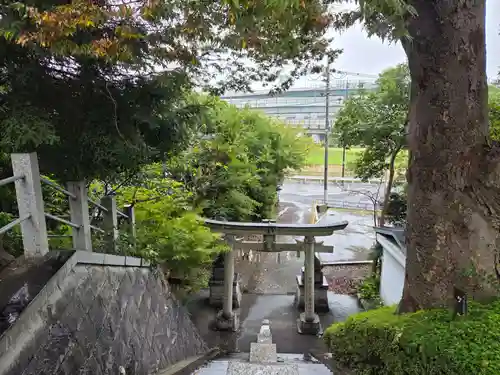 千草台杉山神社(神奈川県)