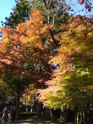 華厳寺(岐阜県)
