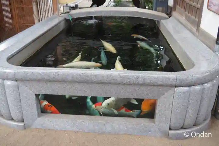 大聖観音寺(あびこ観音)(大阪府)