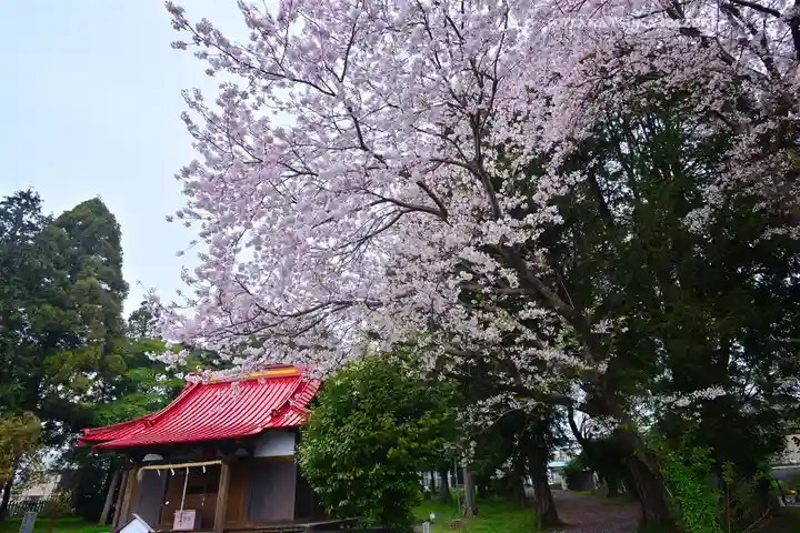 冨知神社(静岡県)