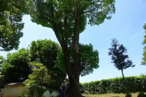 大直禰子神社のその他建物