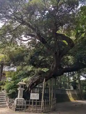 莫越山神社(千葉県)