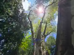 丹生川上神社（下社）(奈良県)