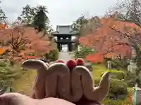 伊勢の国 四天王寺(三重県)