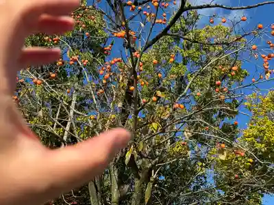 伊勢の国 四天王寺(三重県)