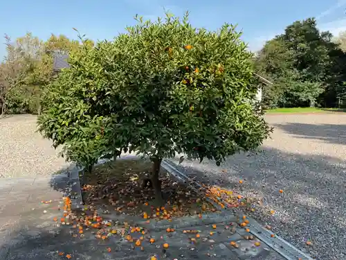 馬頭神明宮(愛知県)