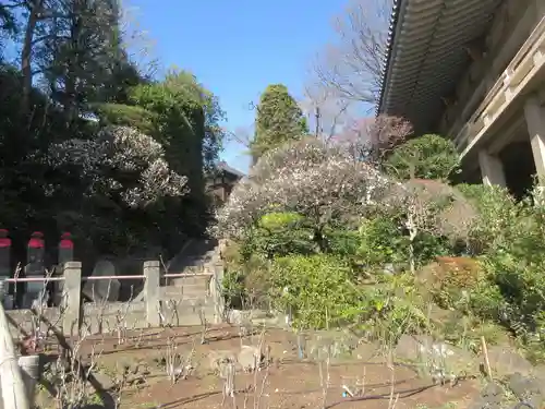 東長谷寺　薬王院(東京都)