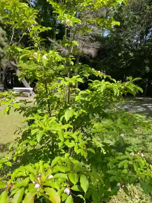 鶴林寺(兵庫県)