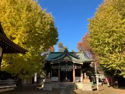 蓮根氷川神社(東京都)