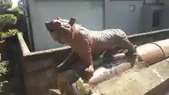 天津神社の狛犬