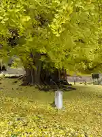 銀杏三寶大荒神(長野県)