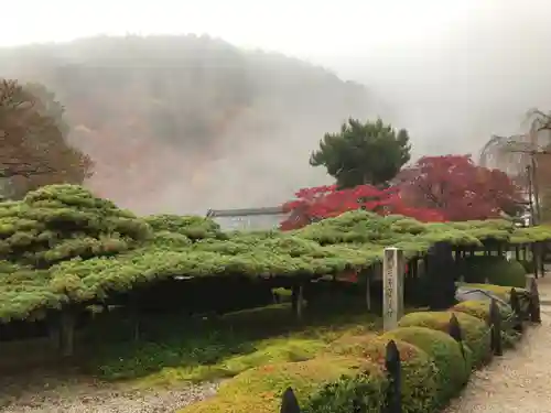 善峯寺(京都府)