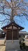 磯成神社(滋賀県)