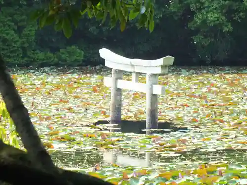 八幡神社(滋賀県)