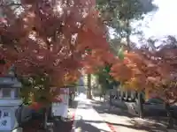 石鎚神社 口之宮 本社(愛媛県)