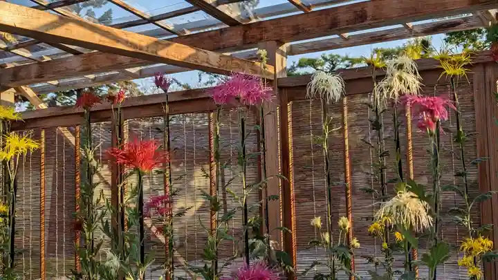 大覚寺(京都府)