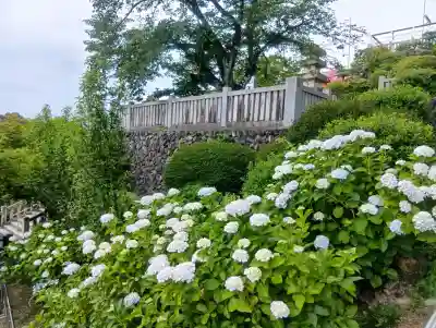 成田山名古屋別院大聖寺(犬山成田山)(愛知県)