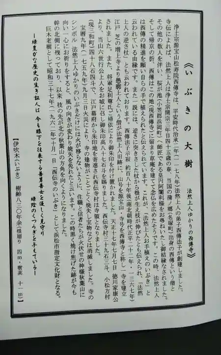 西伝寺(静岡県)