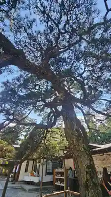 甲斐國一宮 浅間神社(山梨県)
