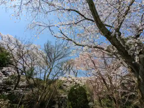 龍安寺(京都府)