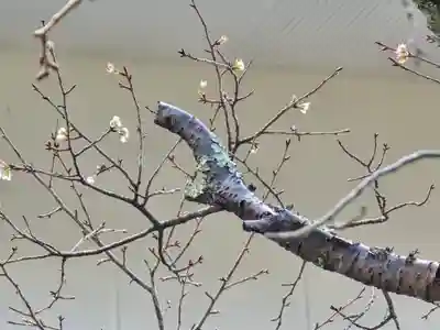 東南院(奈良県)