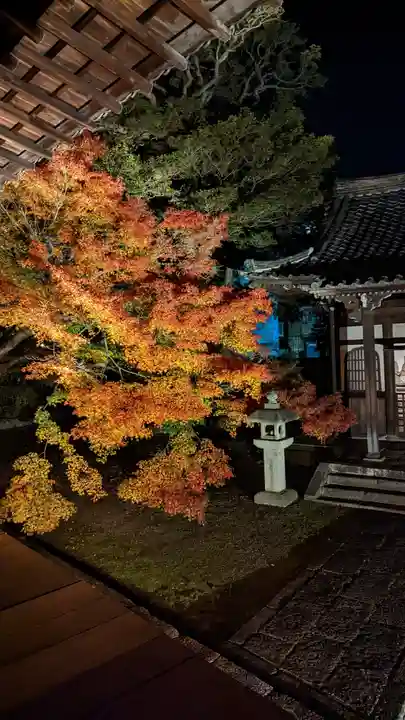 妙覺寺(妙覚寺)(京都府)