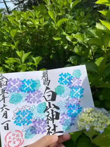白山神社の御朱印