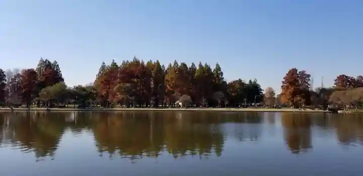 徳島稲荷神社の周辺