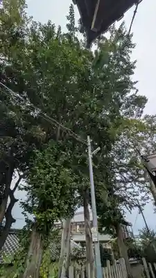 玉田神社(京都府)
