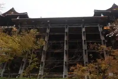 清水寺(京都府)