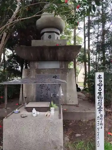 浄瑠璃寺(愛媛県)
