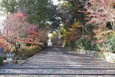 光明寺（粟生光明寺）のその他建物