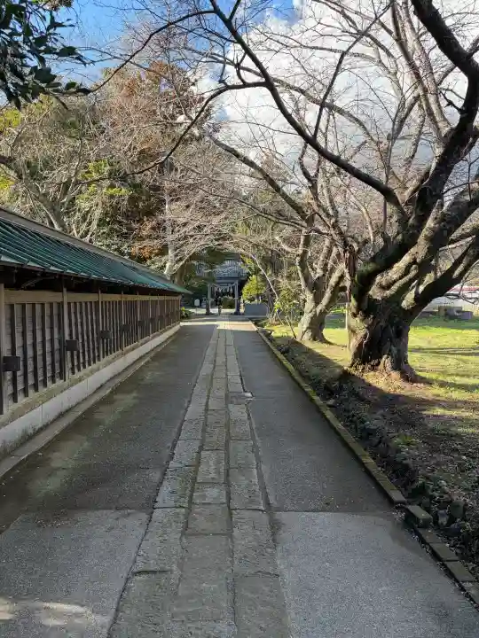 川津来宮神社の{uncategorized: "未分類", other: "その他", undefined: "問題あり", building: "その他建物", grave: "お墓", sacred_gate: "鳥居", guardian: "狛犬", statue: "像", buddha: "仏像", history: "歴史", nature: "自然", garden: "庭園", animal: "動物", pagoda: "塔", temizu: "手水舎", mountain_gate: "山門・神門", sanctuary: "本殿・本堂", subordinate: "末社・摂社", art: "芸術", scenery: "景色", jizo: "地蔵", ema: "絵馬", goshuin: "御朱印", omikuji: "おみくじ", items: "授与品その他", amulet: "お守り", goshuincho: "御朱印帳", eats: "食事", festival: "お祭り", votive_dance: "神楽", shichigosan: "七五三参", wedding: "結婚式", experience: "体験その他", initially: "初詣", around: "周辺", anti_infection: "感染症対策"}