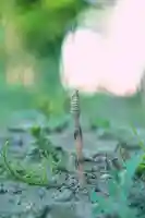 正安寺(神奈川県)