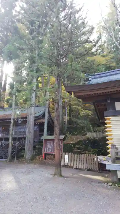 諏訪大社の自然