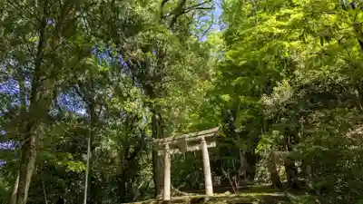 末廣神社の鳥居