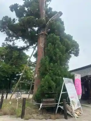 吉備津彦神社(岡山県)